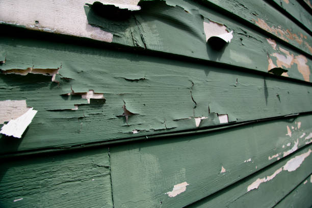 Best Dumpster Rental Services  in Tompkinsville, KY